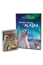 Amazing Animals of Alaska Vol 1 DVD and Creation Cards Combo