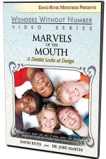 Marvels of the Mouth: A Dentist Looks at Design