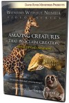 Amazing Creatures that Proclaim Creation: Marvels of God’s Handiwork