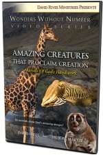 Amazing Creatures that Proclaim Creation: Marvels of God’s Handiwork