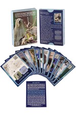 Alaska Creation Cards